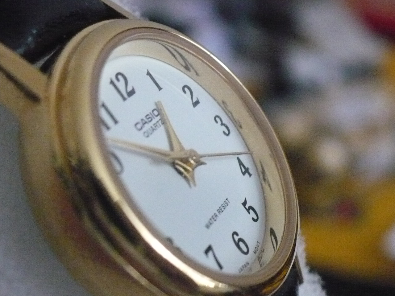 [P1140139.JPG]