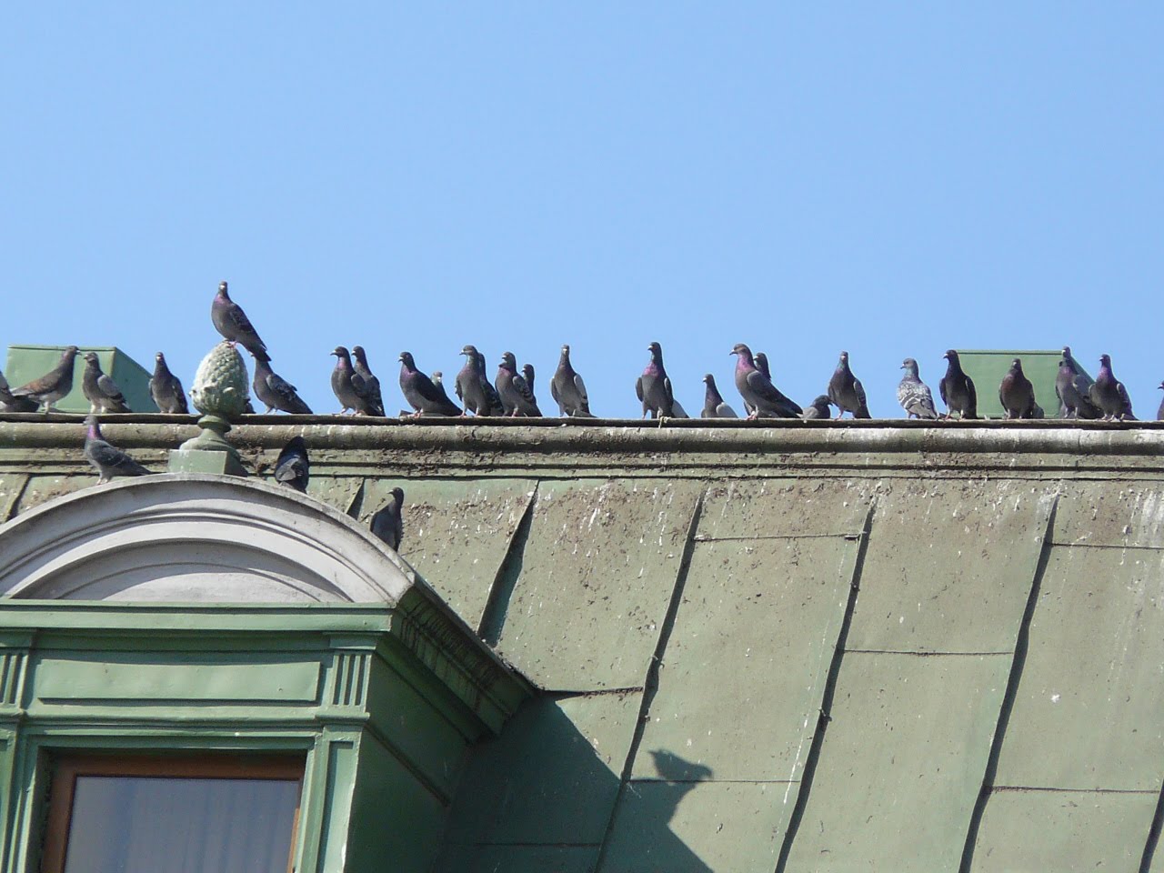 [P1100108.JPG]