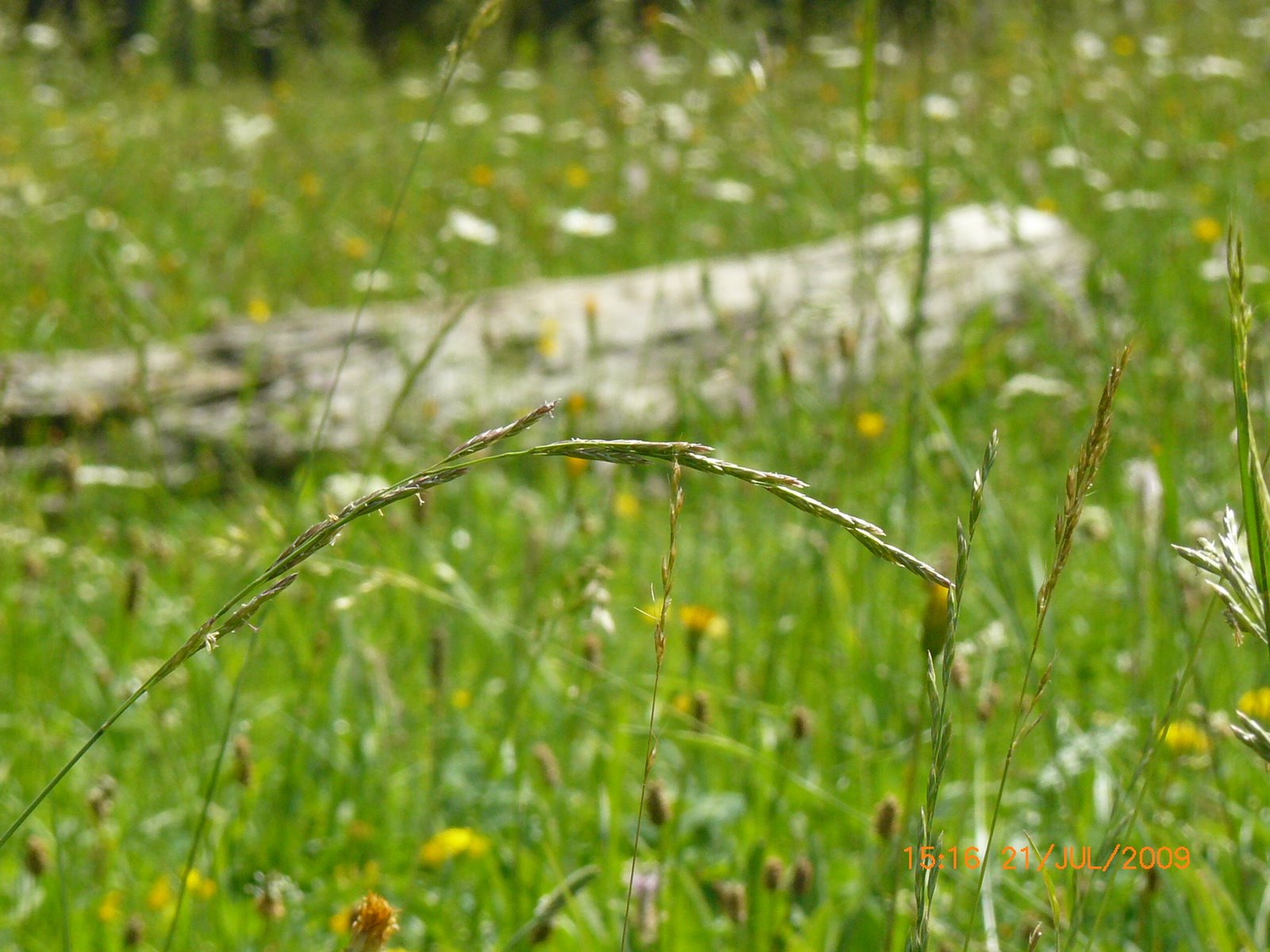[P1040936.JPG]