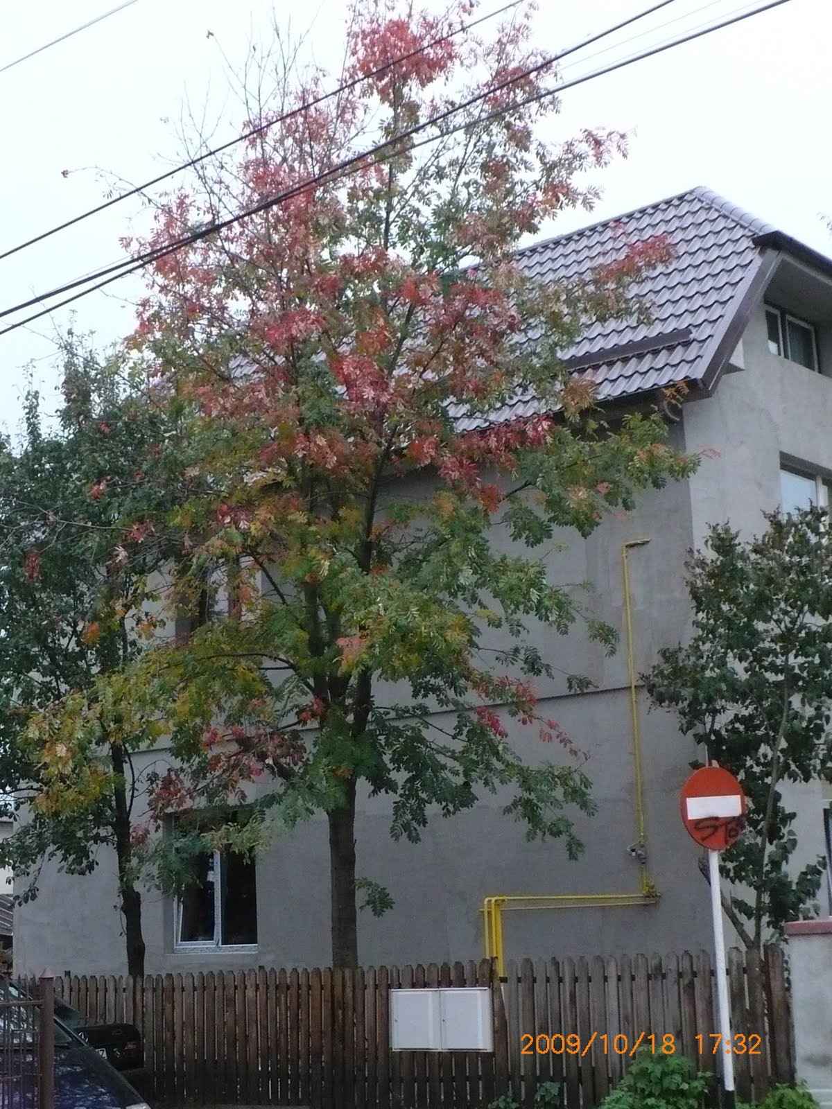 [P1130229.JPG]