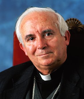 [Cardinal.jpg]