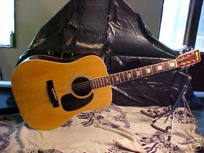suzuki acoustic guitar serial numbers suzuki acoustic guitar serial numbers
