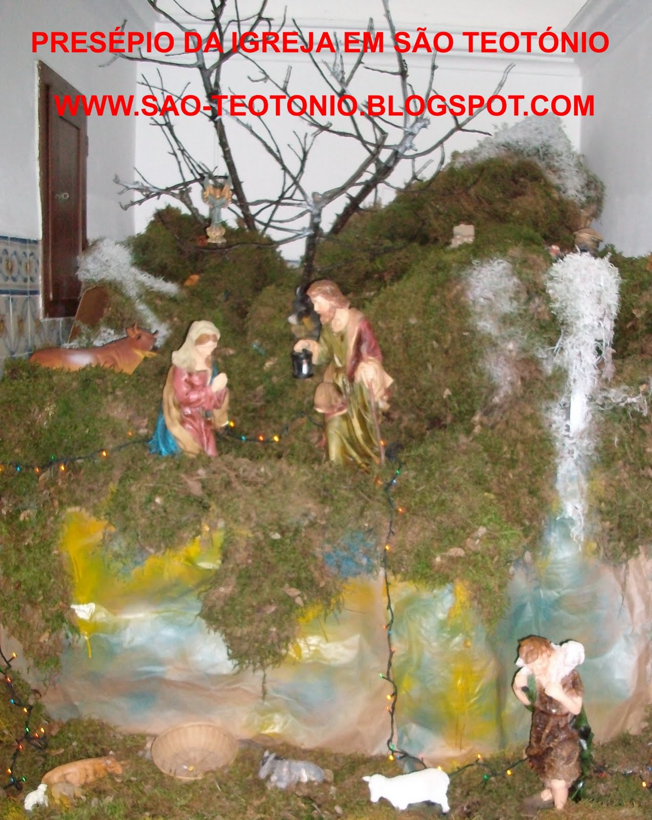 [presepi1.jpg]