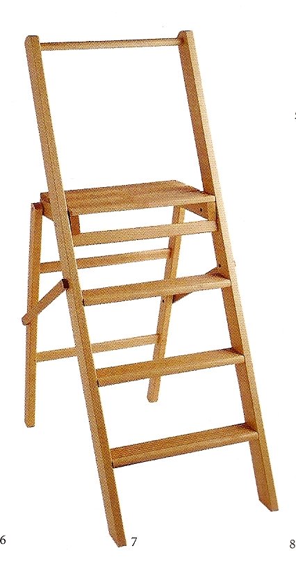 [ladder2.jpg]