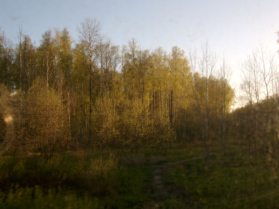 [По+дороге+назад5.JPG]