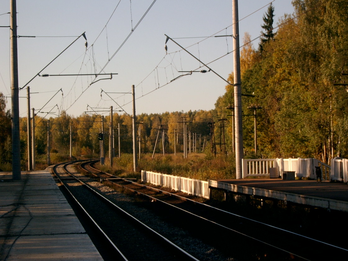 [Дорога+на+Ораниенбаум.JPG]