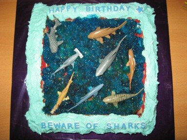 [Shark3.JPG]
