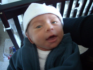 Two Weeks Old On Wednesday