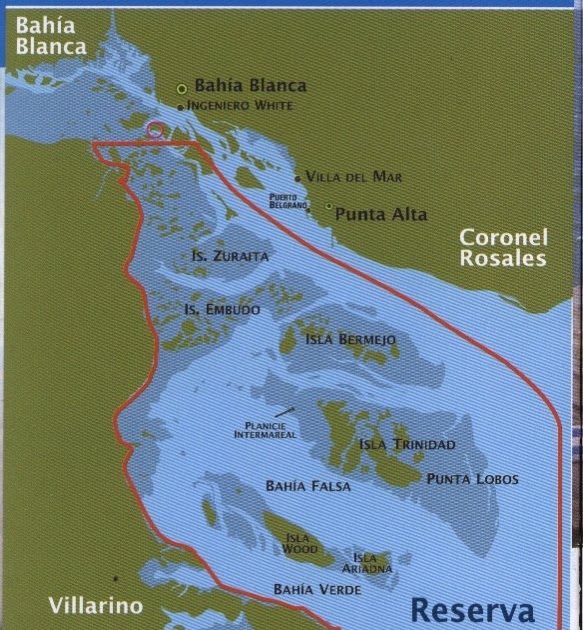 Reserva Natural Bahía Blanca, Bahía Falsa, Bahía Verde Reserva natural