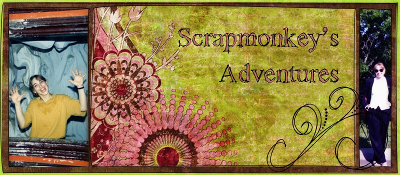 The Scrapping Monkey's Adventures