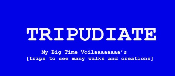 Tripudiate