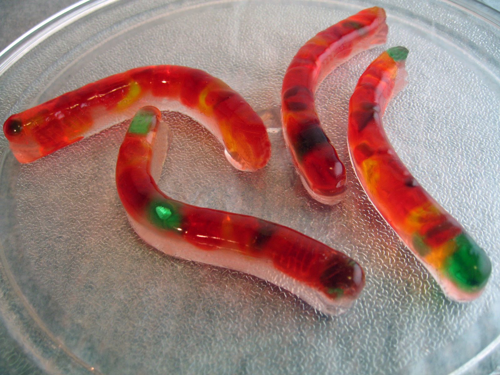 Gelology Yummy Gummy Jelly Shots