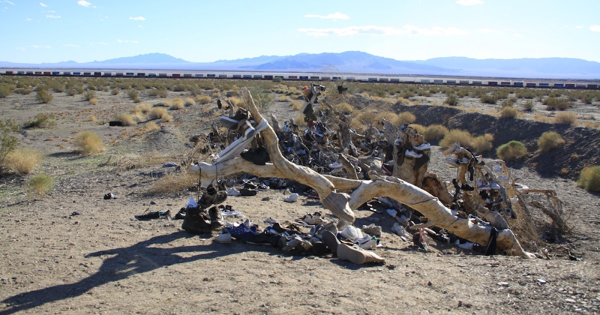 My Scenic Byway Have You Seen A Shoe Tree?