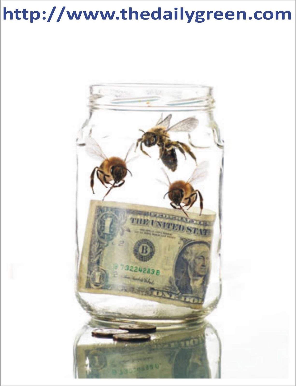 [mel_cartoon_mel.JPG]