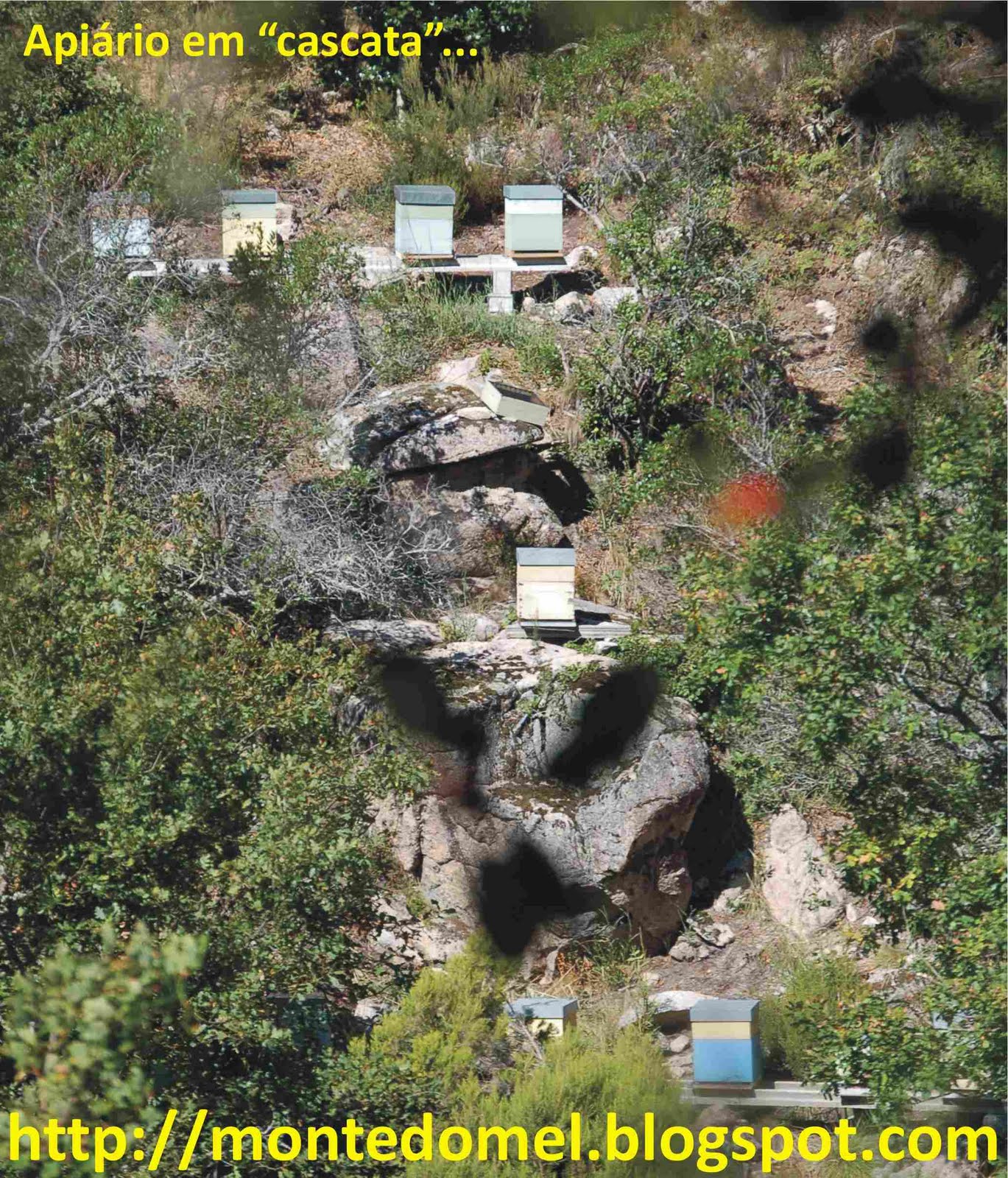 [apicultores_do_geres.JPG]