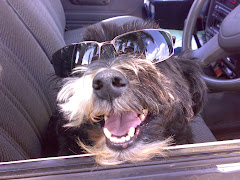 Scruffy Rochford