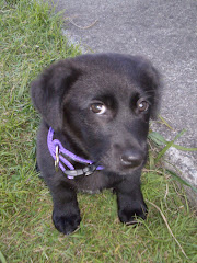Im so cute, so i didn't do it!