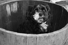 A Tub of fun!