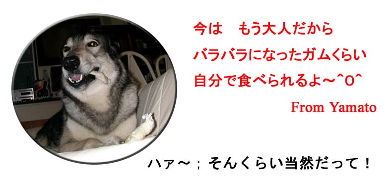 [6_22_2.jpg]