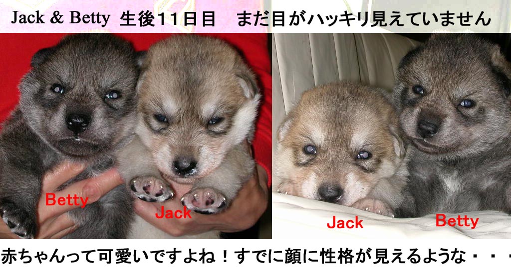 [JB1.jpg]