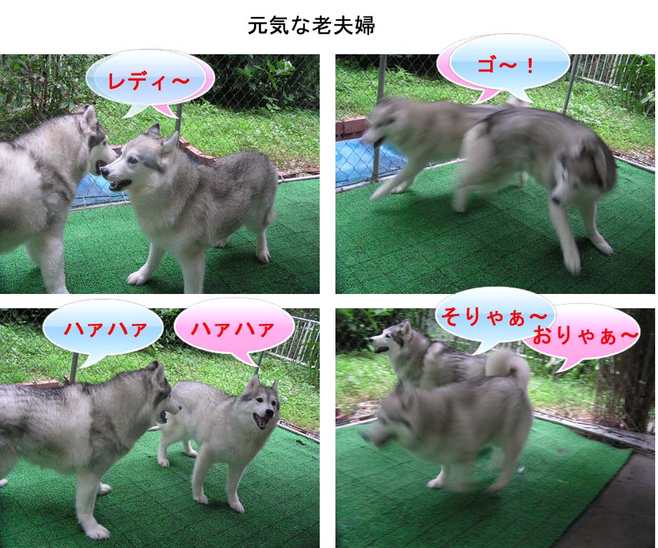 [8_10_1.jpg]
