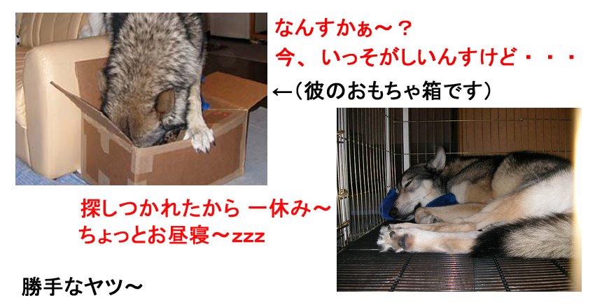 [8_2_4.jpg]