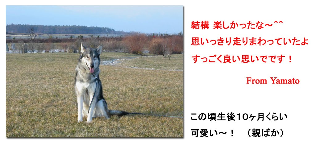[8_20_4.jpg]