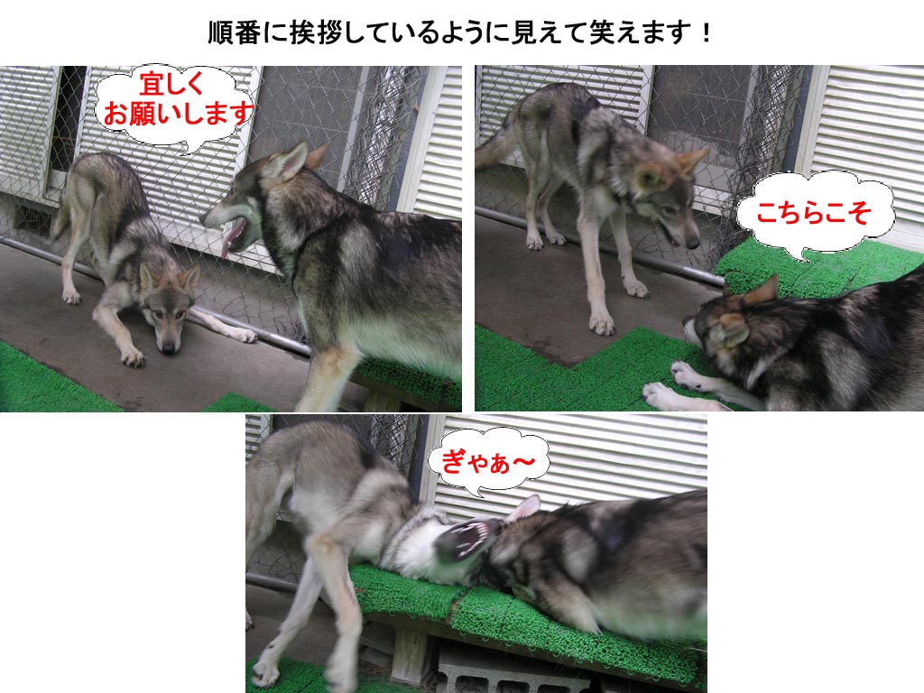 [9_3_1.jpg]