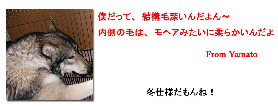 [8_24_1.jpg]