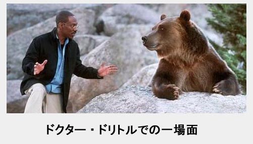 [bear2.jpg]
