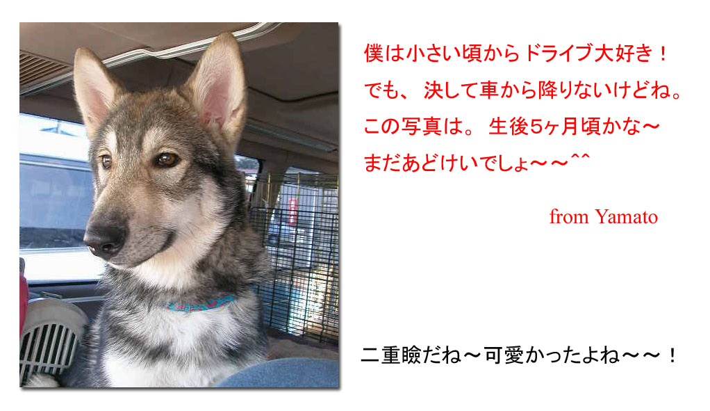 [101.jpg]