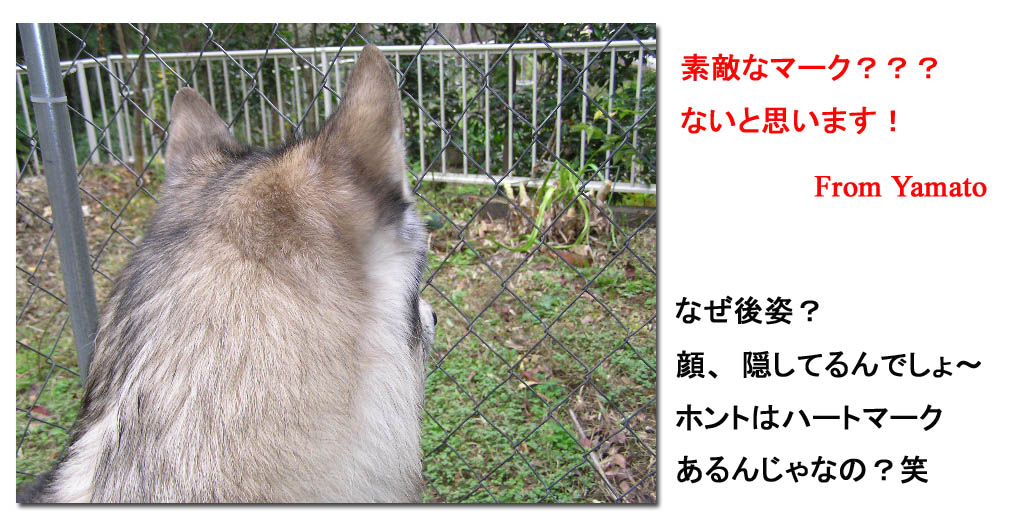 [1211.jpg]