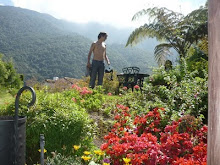 En el Jardin de "La Trucha Azúl" Mérida