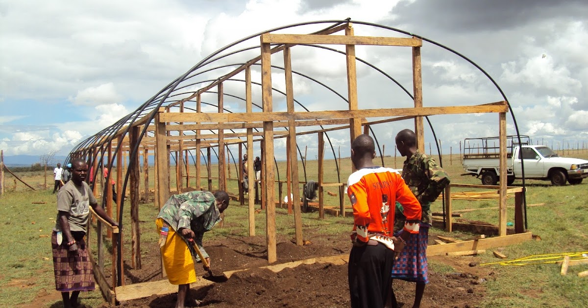 Lake Challa Sanctuary. Farming of tomatoes in Kenya in a Greenhouse.