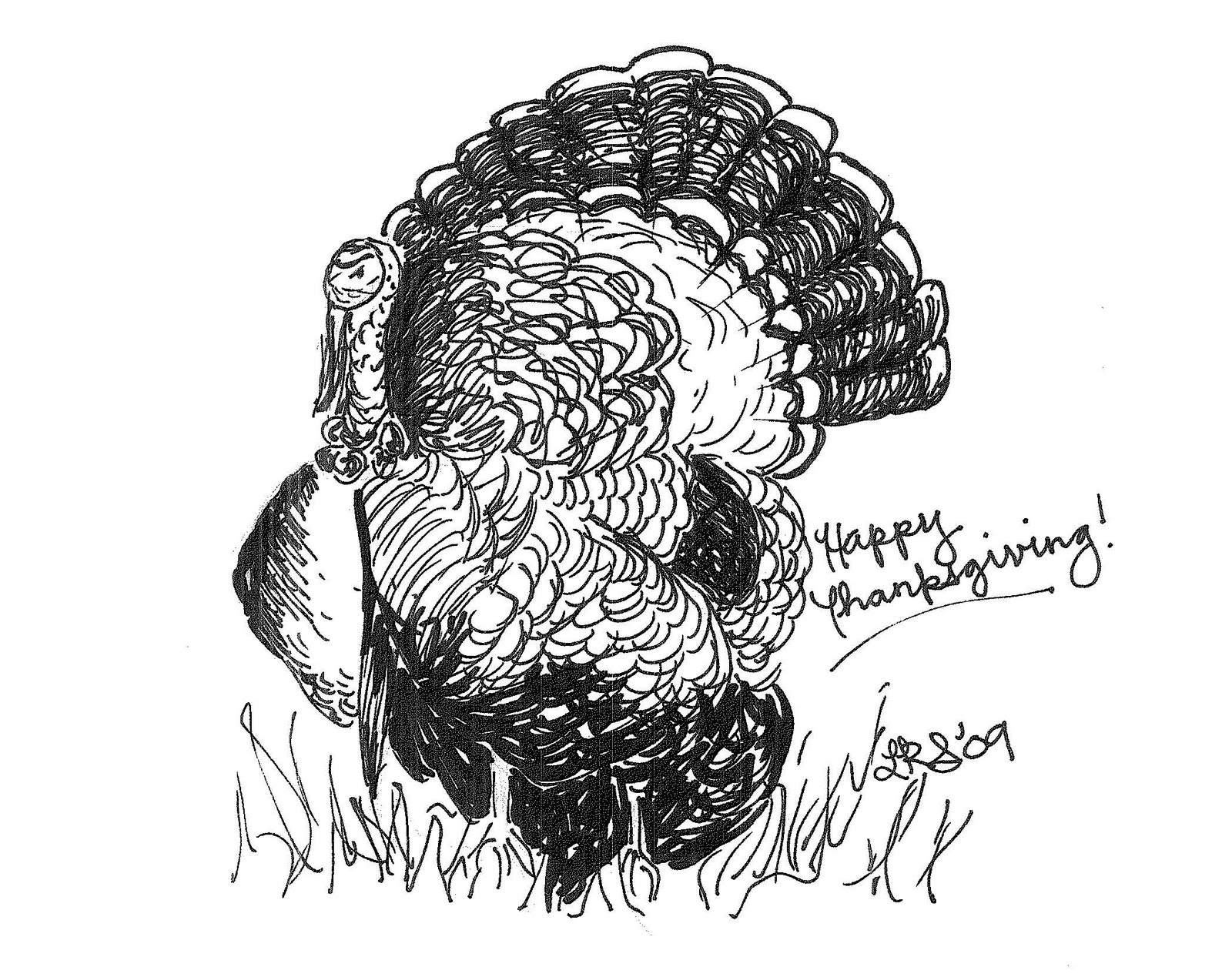 Turkey Sketches