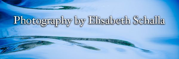 elisabeth's blog