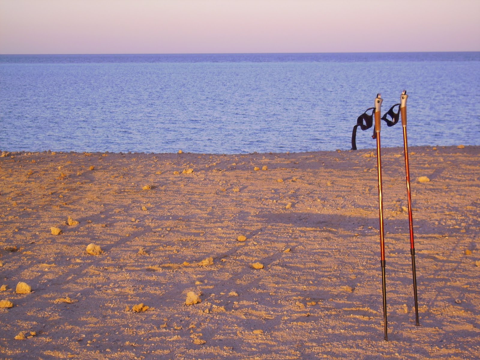 [Marsa+Alam+6-13+febbraio+2010+077.jpg]