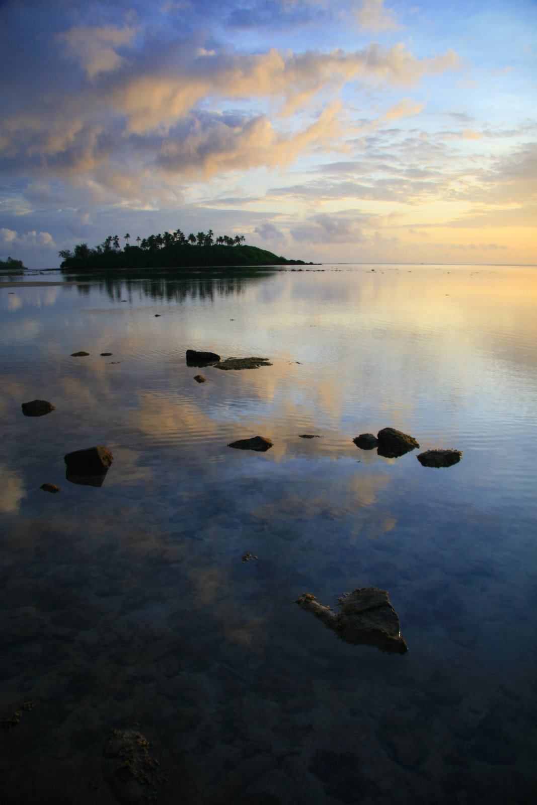 [IMG_4601.JPG]