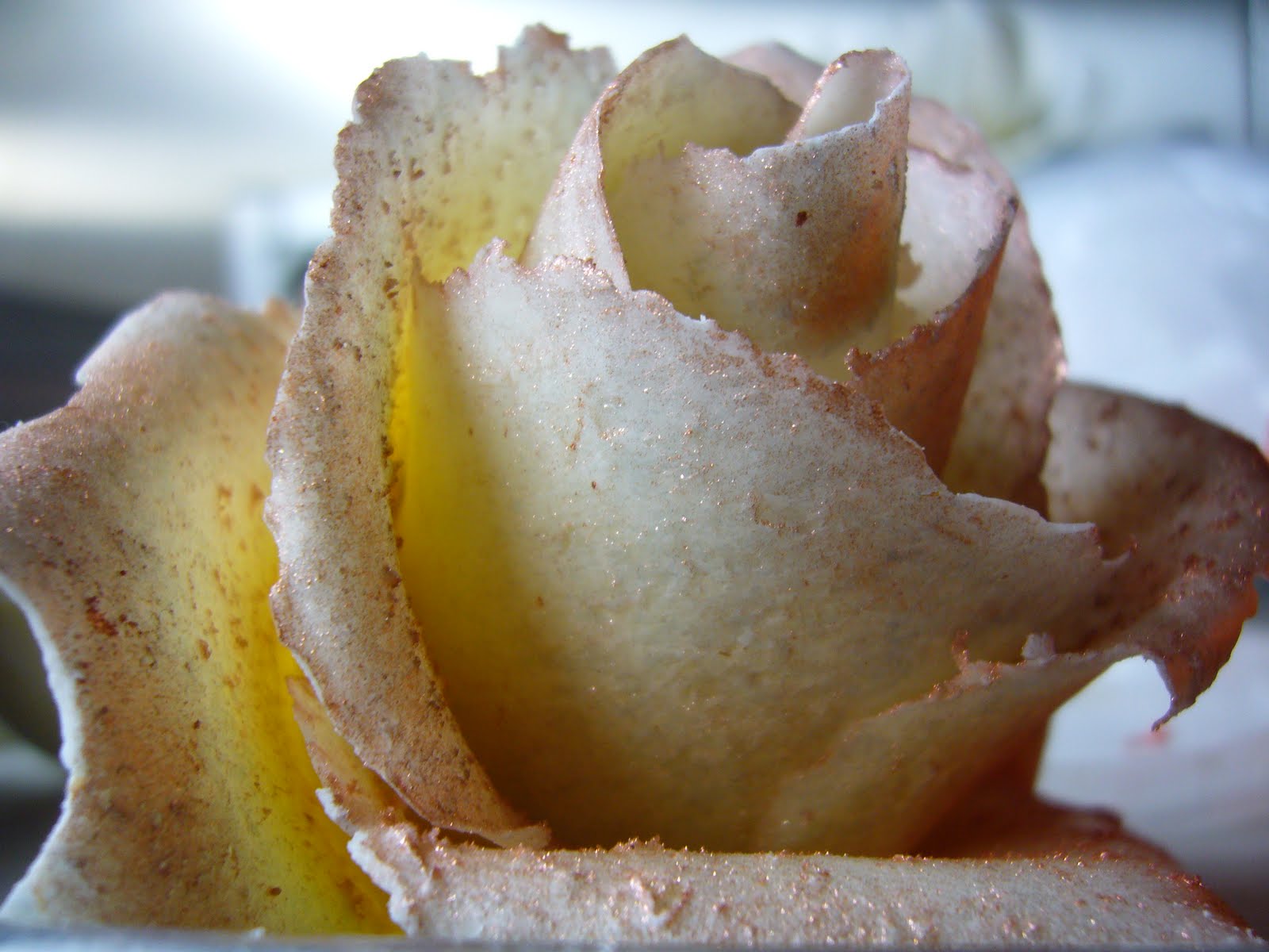 The Tasty Memoir The French Pastry School Chicago, IL