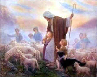 shepherd pictures