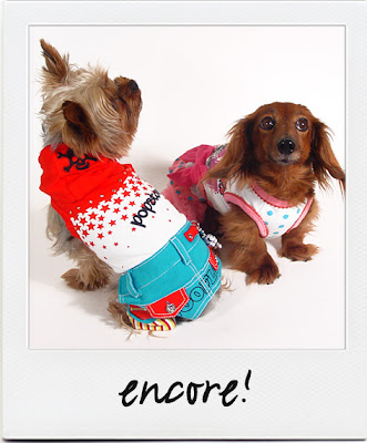 Pictures+of+dressed+up+dogs