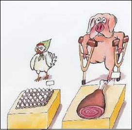 Chicken or the pig