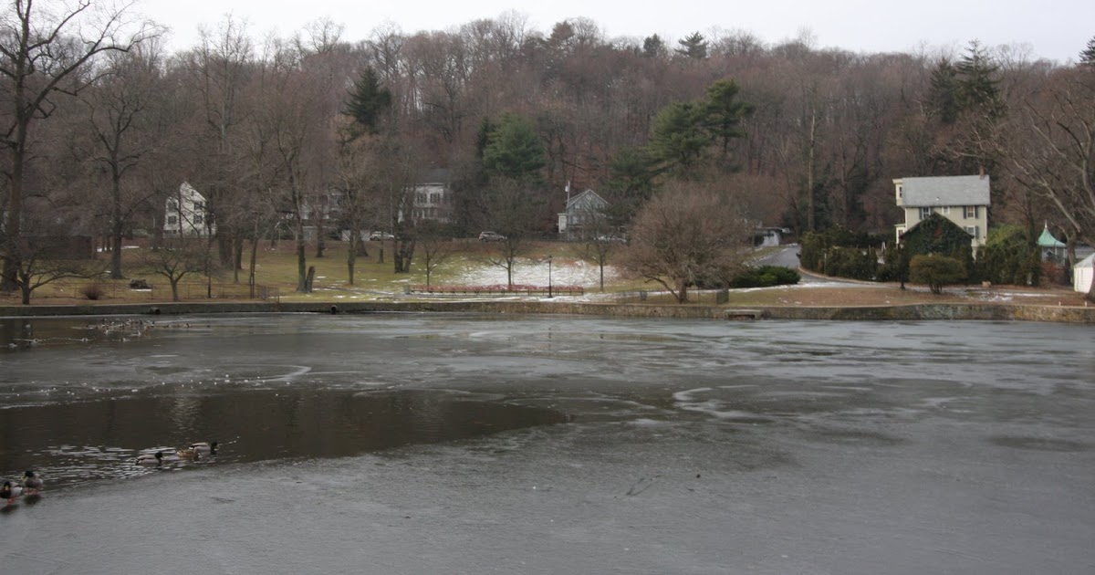 Old Long Island Roslyn Duck Pond