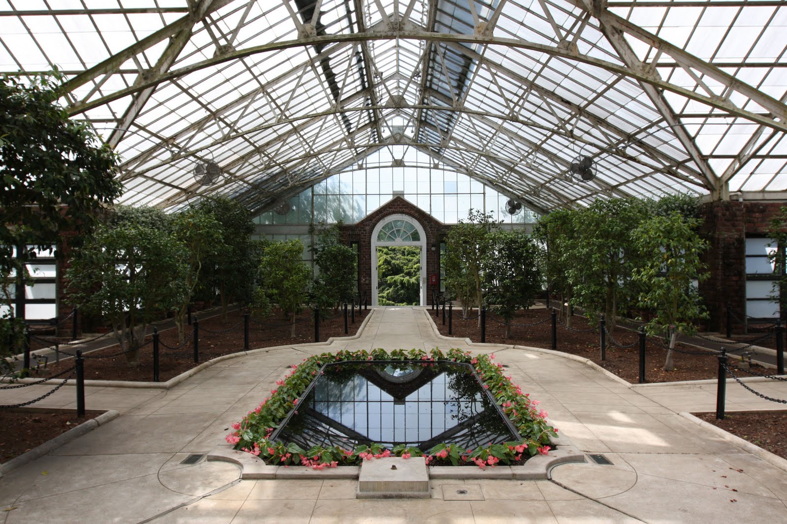 Old Long Island The Camellia House at 'Planting Fields'