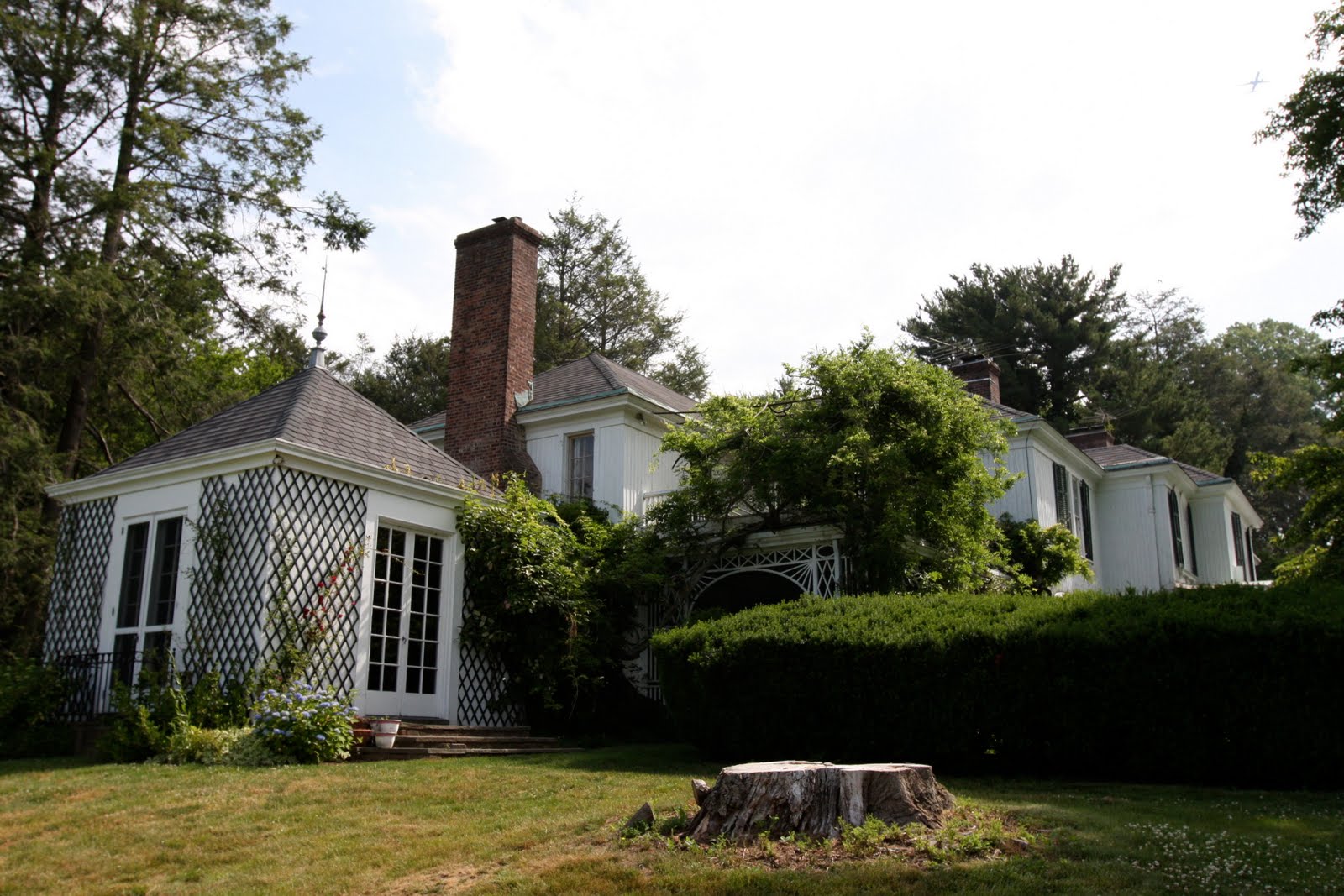 Old Long Island 'Orchard Hill'