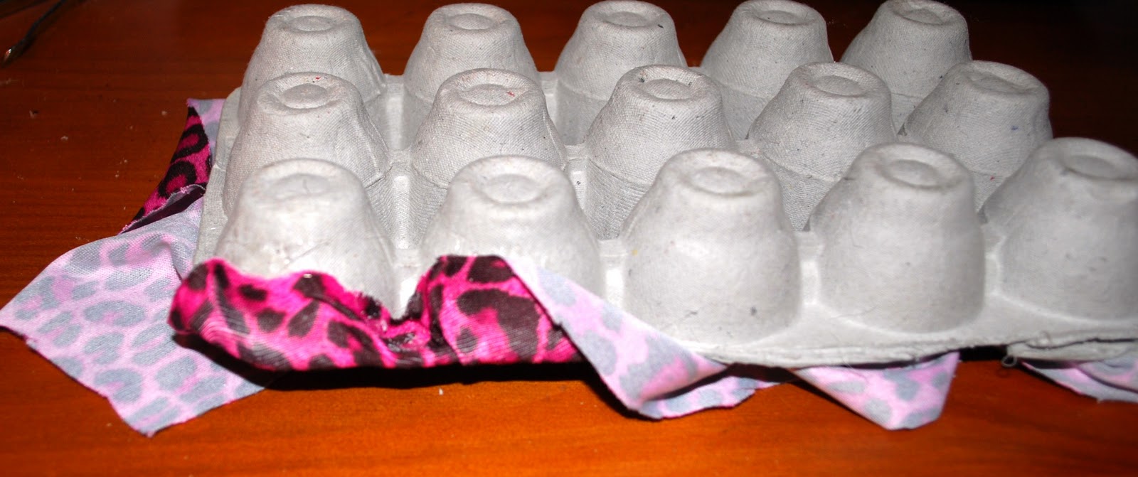 Zerila's Life Blogging Day 118 DIY Egg Carton Ring Organizer