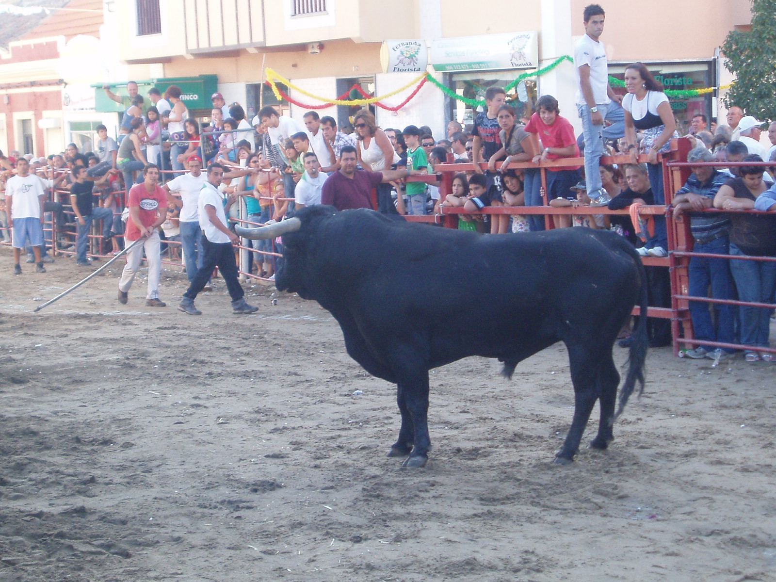 [P1010032.JPG]