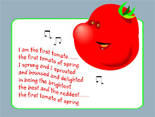 First Tomato Song