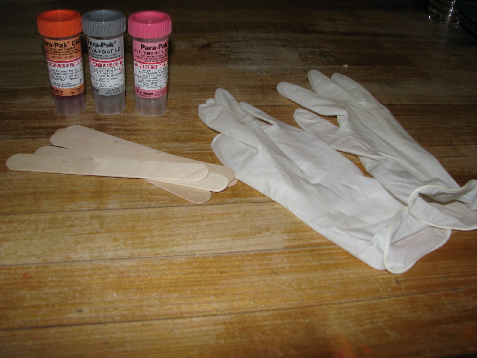 [poop+kit+005.JPG]