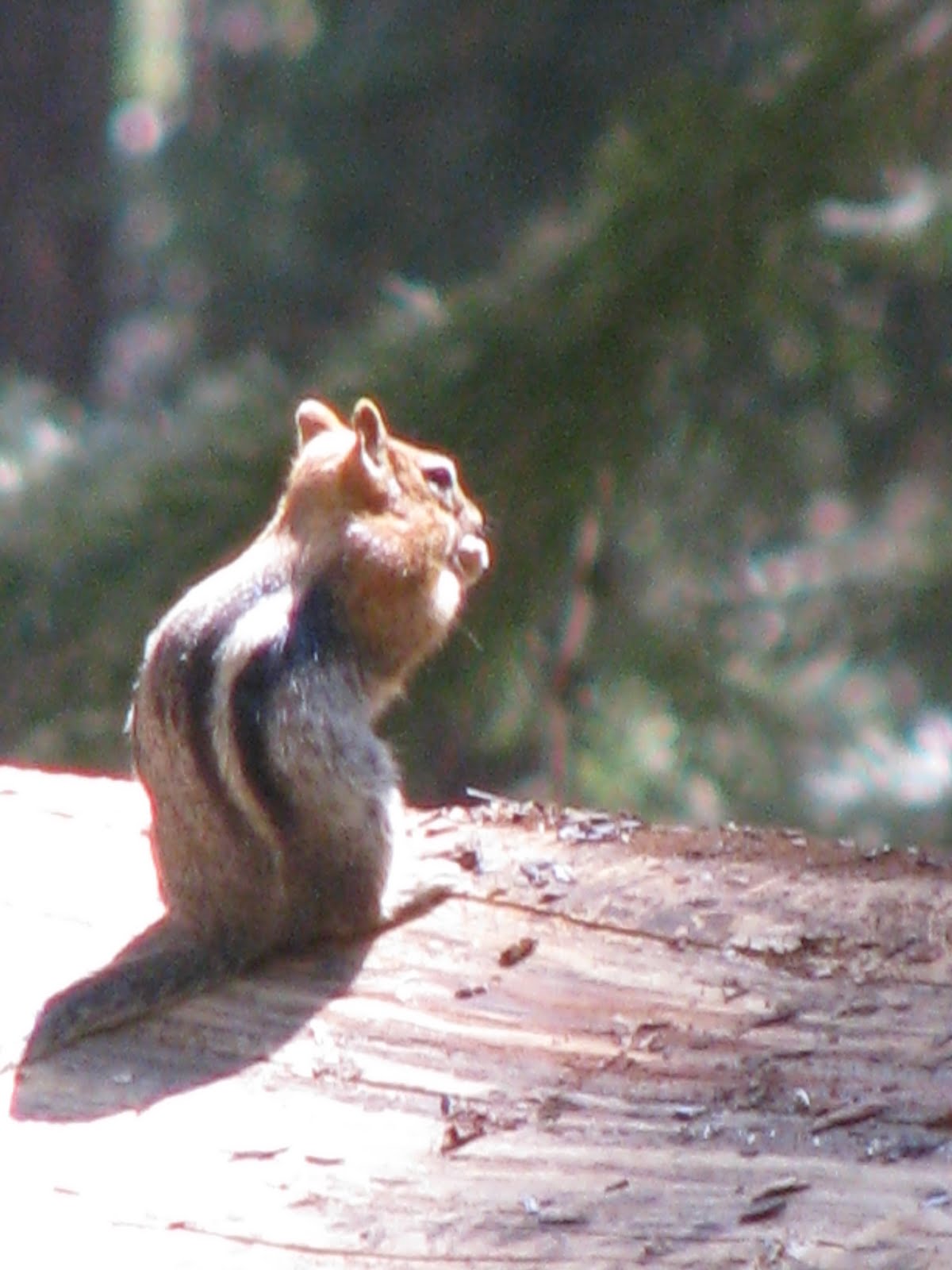 [IMG_3958.JPG]
